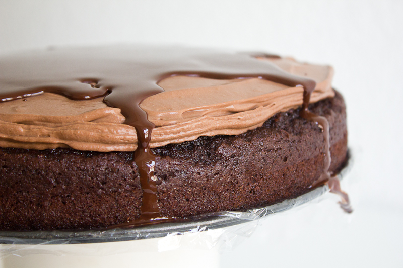 chocolate mousse cake (8)